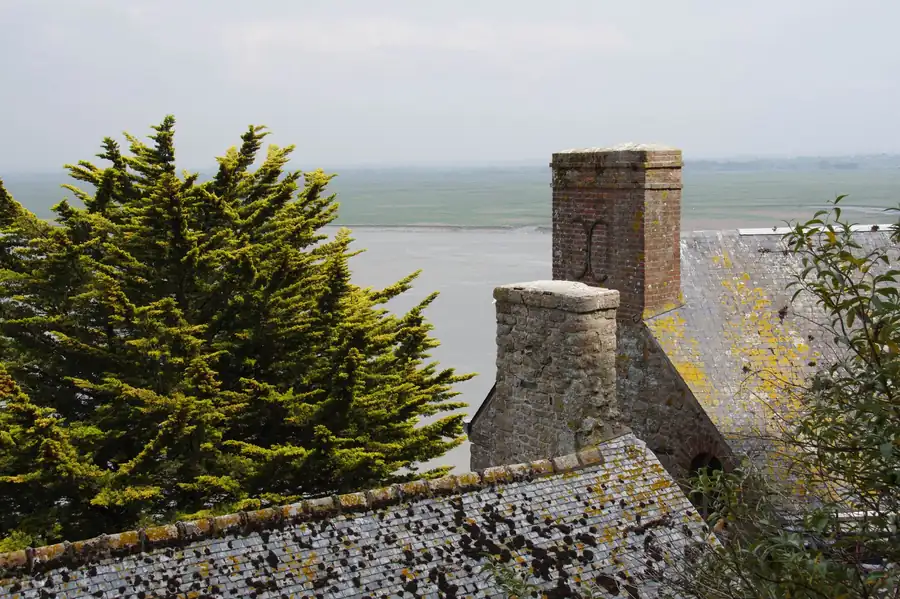 Rooftops with chimneys overlooking a calm sea, framed by evergreen trees under a hazy sky
