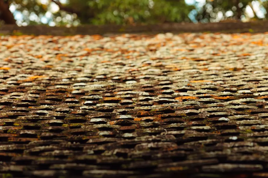 Close-up of a rough, textured surface with brown, orange, and black tones in warm light
