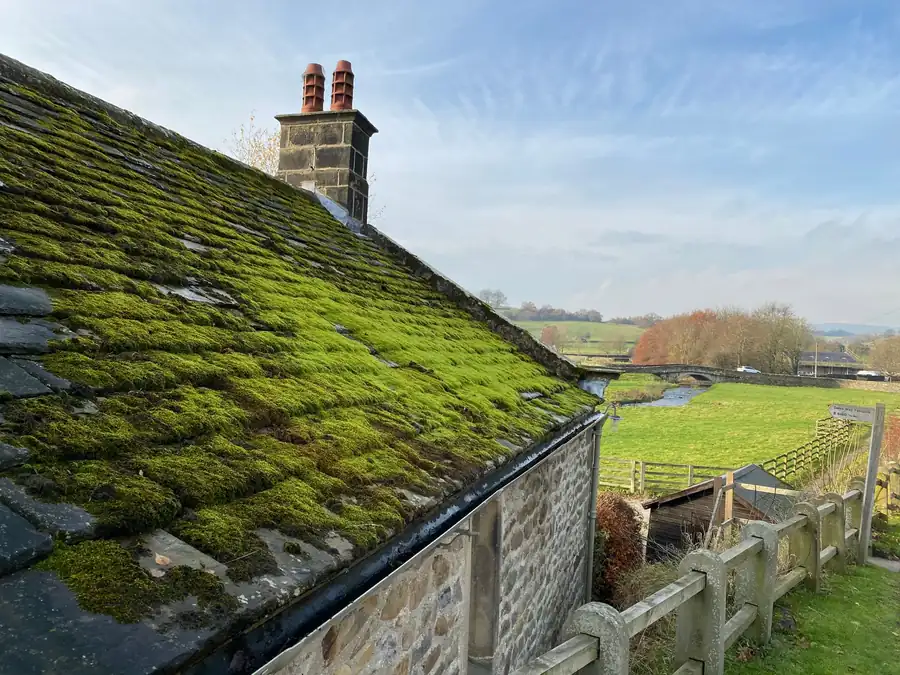 Moss-covered cottage roof with chimneys overlooking green fields and a fence on a sunny day