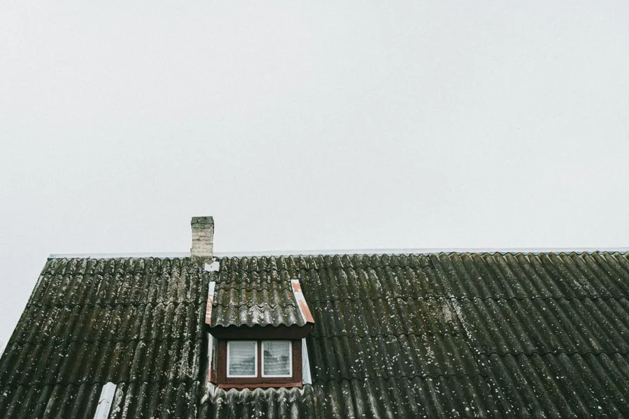 Snowy rooftop with a small chimney and skylight under a pale winter sky