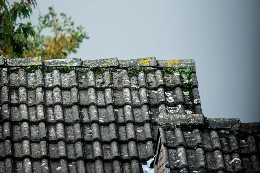 Weathered gray tiled rooftops with moss against a cloudy sky, with a tree at the left edge